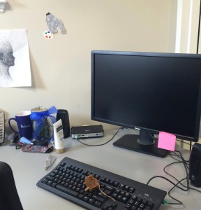 12973213_10208538511793619_3843109342662915985_o